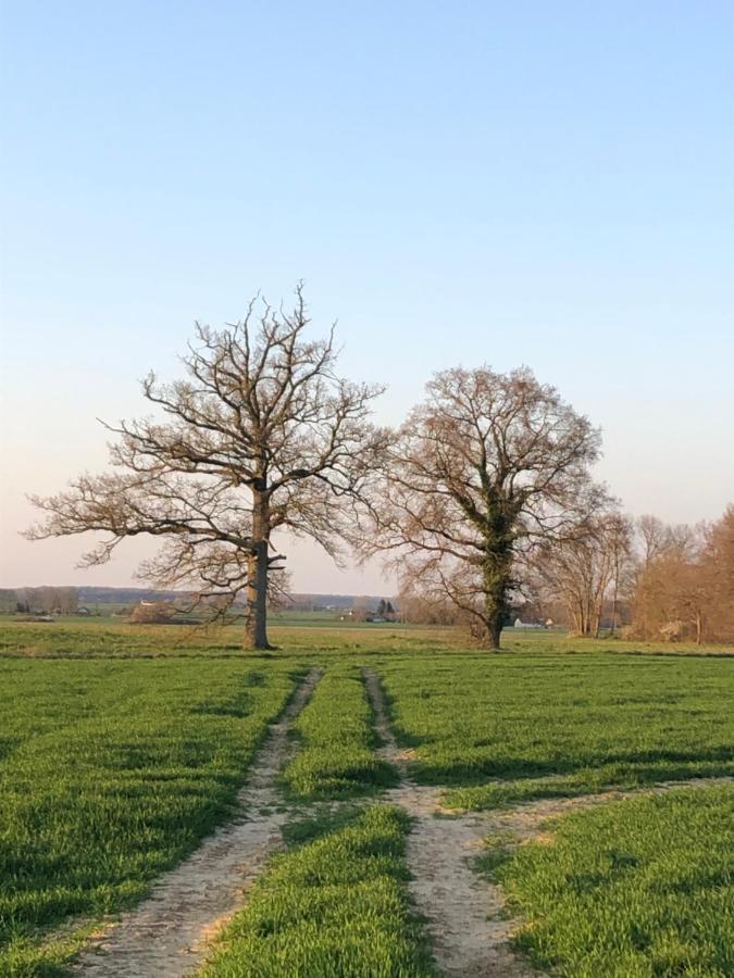 Le Nid Perche Lägenhet Brou Exteriör bild