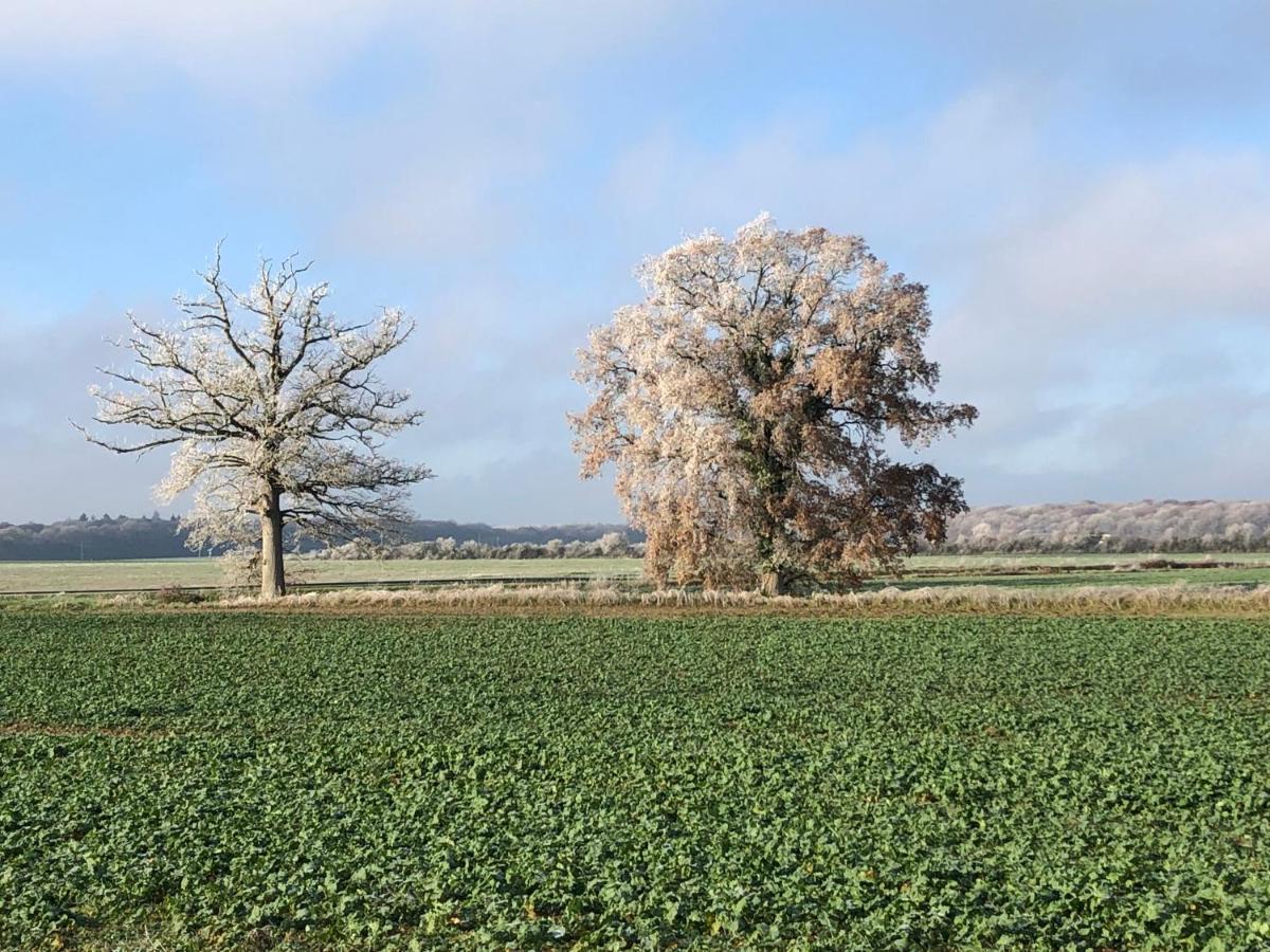 Le Nid Perche Lägenhet Brou Exteriör bild